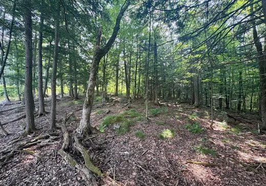 Land for Sale - 11 Ch. Peerless, Chelsea, J9B 0G4