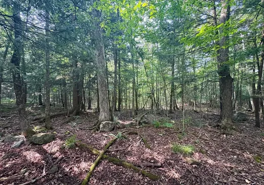 Land for Sale - 11 Ch. Peerless, Chelsea, J9B 0G4