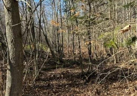 Land for Sale -  Ch. de Val-Ombreuse, ND-Du-Laus, J0X 2M0