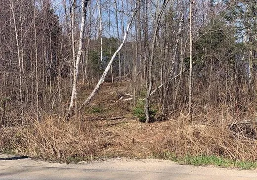 Land for Sale -  Ch. de Val-Ombreuse, ND-Du-Laus, J0X 2M0