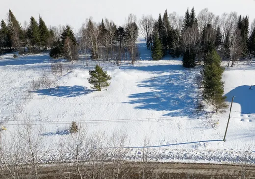 Terrain à vendre -  Ch. de la Rive, Ferme-neuve, J0W1C0