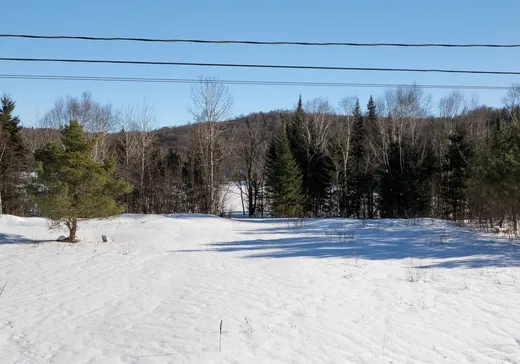 Terrain à vendre -  Ch. de la Rive, Ferme-neuve, J0W 1C0