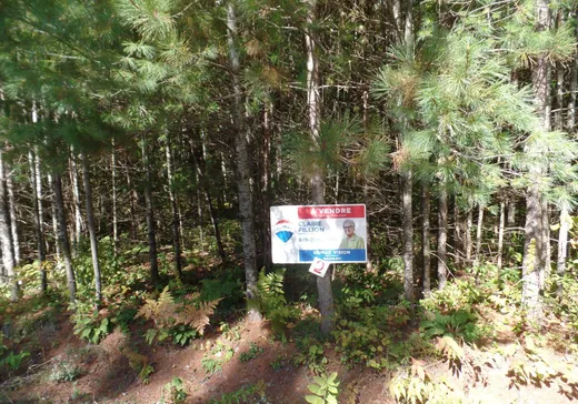 Land for sale -  Rue des Hydrangées, ND-Du-Laus, J0X2M0