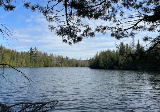 Terrain à vendre -  Ch. du Lac-Hendrix, Morin-Heights, J0R1H0