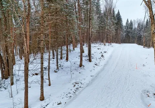 Terrain à vendre - 112 Ch. de la Vallée, Lac-Beauport, G3B1B7