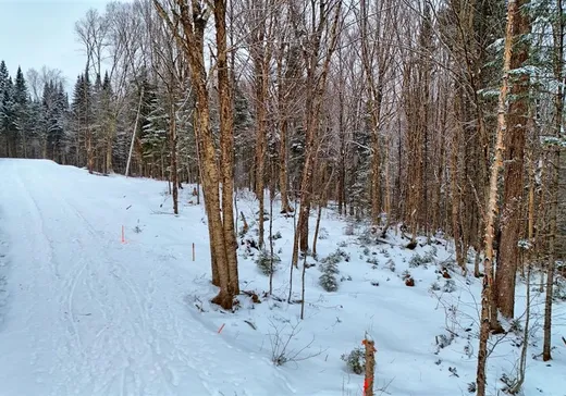 Terrain à vendre - 112 Ch. de la Vallée, Lac-Beauport, G3B 1B7