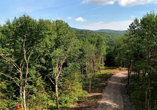 Terrain à vendre - 112 Ch. de la Vallée, Lac-Beauport, G3B 1B7