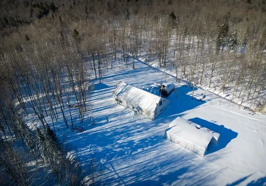 Terrain à vendre - 1545Z Rue Henri, Val-Alain, G0S 3H0