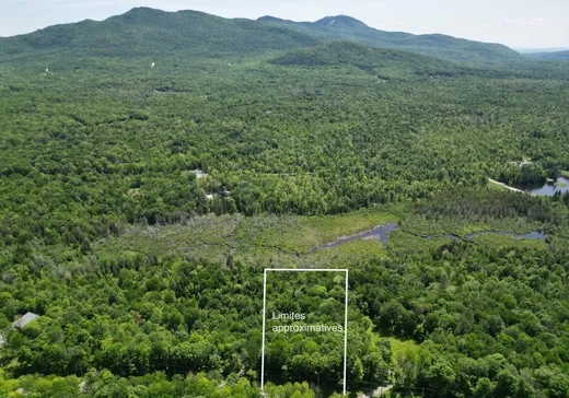 Terrain à vendre -  Ch. de la Montagne-Cachée, Eastman, J0E1P0
