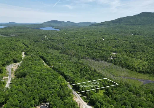 Terrain à vendre -  Ch. de la Montagne-Cachée, Eastman, J0E 1P0