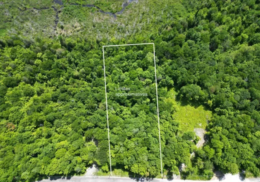 Terrain à vendre -  Ch. de la Montagne-Cachée, Eastman, J0E 1P0