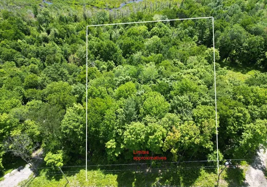 Terrain à vendre -  Ch. de la Montagne-Cachée, Eastman, J0E 1P0