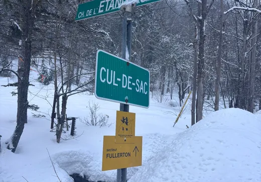 Land for sale - 133 Ch. de l'Étang-Fullerton, Mansonville, J0E1X0