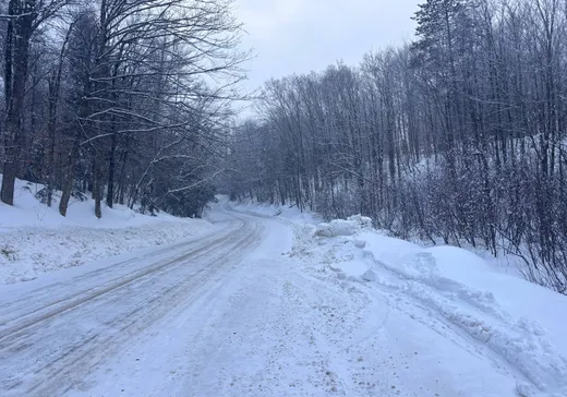 Land for Sale - 133 Ch. de l'Étang-Fullerton, Mansonville, J0E 1X0