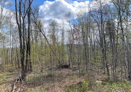 Terrain à vendre -  Rue de l'Excursion, Morin-Heights, J0R1H0