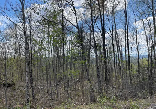 Terrain à vendre -  Rue de l'Excursion, Morin-Heights, J0R 1H0