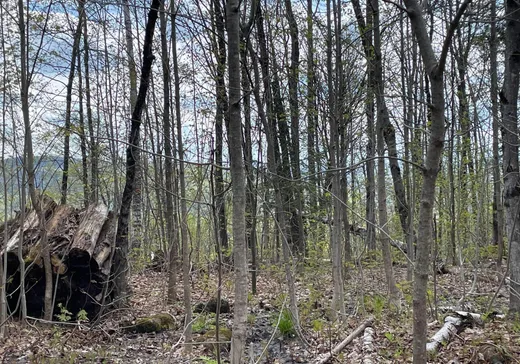 Terrain à vendre -  Rue de l'Excursion, Morin-Heights, J0R 1H0