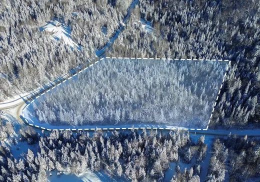 Terrain à vendre -  Ch. du Lac-Rougeaud, Mont-Tremblant, J0T 1J2