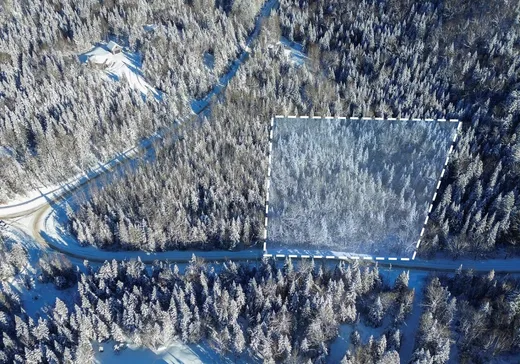 Terrain à vendre -  Ch. du Lac-Rougeaud, Mont-Tremblant, J0T 1J2