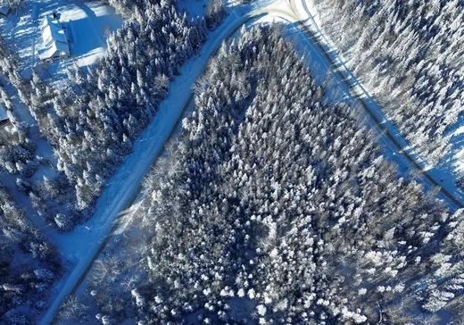 Terrain à vendre -  Ch. du Lac-Rougeaud, Mont-Tremblant, J0T 1J2