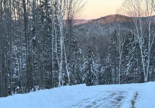 Land for sale - 839 Rg Sacacomie, App. 37, St-Alexis-Des-Monts, J0K1V0