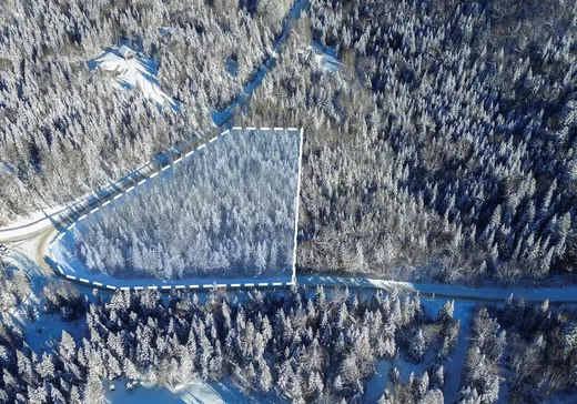 Land for Sale -  Ch. du Lac-Rougeaud, Mont-Tremblant, J0T 1J2