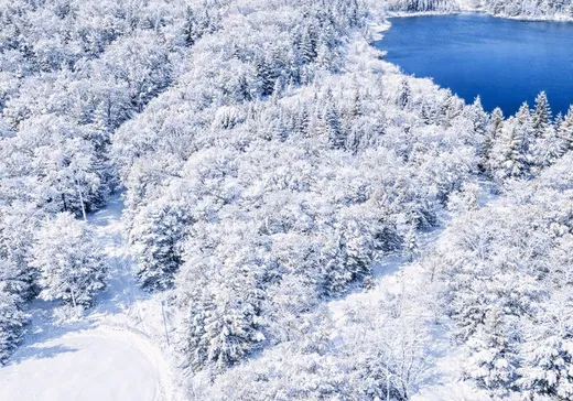 Land for sale -  Rue de la Réserve, Morin-Heights, J0R1H0