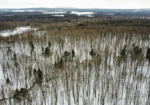 Terrain à vendre - 757 Route 241, Saint-Joachim-de-Shefford, J0E 2G0