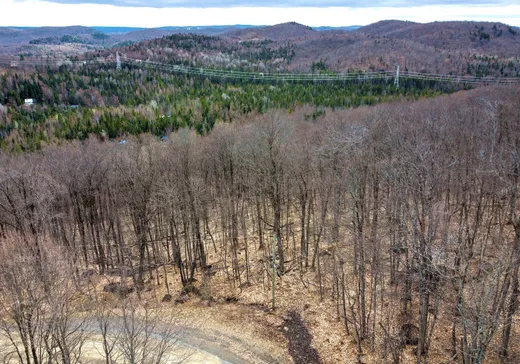 Land for sale -  Rue du Beau-Vallon, Val Morin, J0T2R0