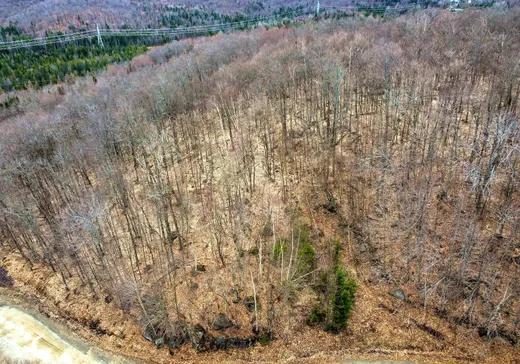 Land for Sale -  Rue du Beau-Vallon, Val Morin, J0T 2R0