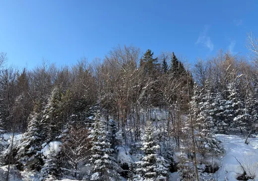 Land for Sale -  Ch. de St-Adolphe, Morin-Heights, J0R 1H0