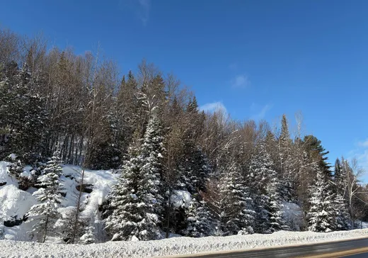 Land for Sale -  Ch. de St-Adolphe, Morin-Heights, J0R 1H0