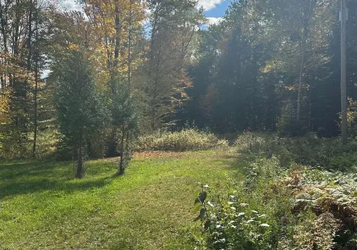 Terrain à vendre - 1525 Ch. des Chalets Ouest, St-Pierre-Baptiste, G0P 1K0