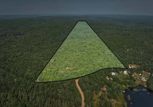 Terrain à vendre -  Ch. des Bouleaux-Blancs, St-Didace, J0K2G0