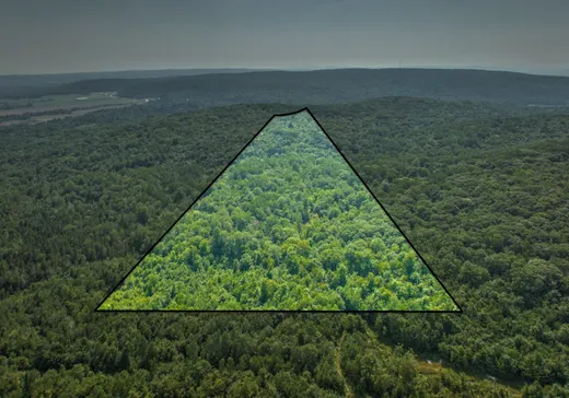 Terrain à vendre -  Ch. des Bouleaux-Blancs, St-Didace, J0K 2G0