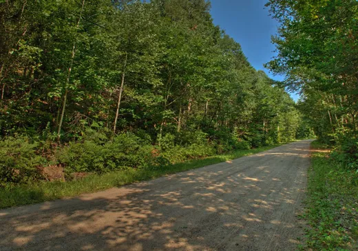 Terrain à vendre -  Ch. des Bouleaux-Blancs, St-Didace, J0K 2G0