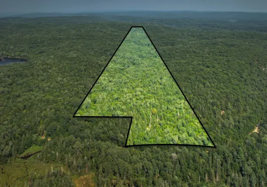 Terrain à vendre -  Ch. des Bouleaux-Blancs, St-Didace, J0K 2G0