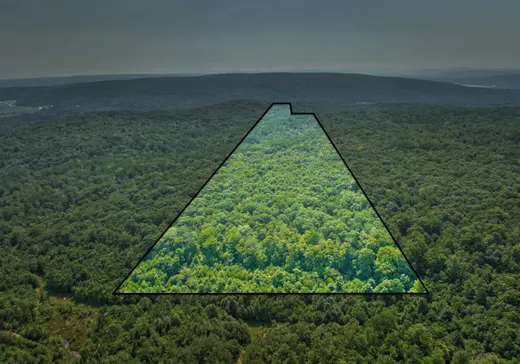 Terrain à vendre -  Ch. des Bouleaux-Blancs, St-Didace, J0K 2G0