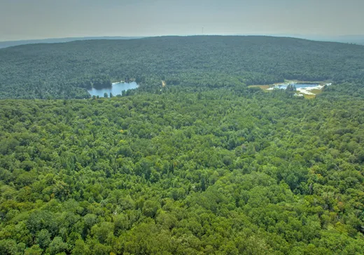 Terrain à vendre -  Ch. des Bouleaux-Blancs, St-Didace, J0K 2G0