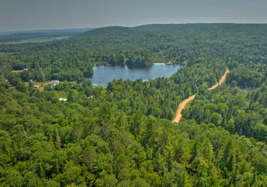 Terrain à vendre -  Ch. des Bouleaux-Blancs, St-Didace, J0K 2G0
