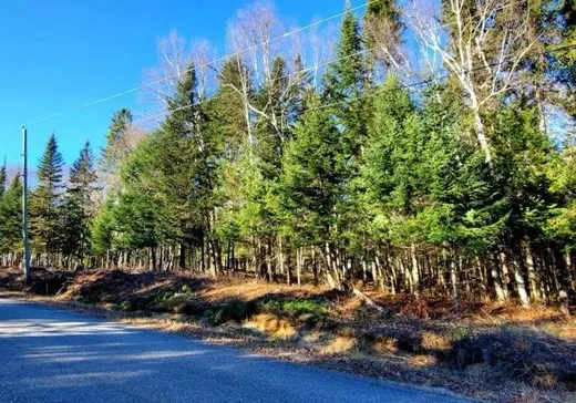 Terrain à vendre -  Ch. Marie-Louise, Lac-Saint-Paul, J0W 1K0