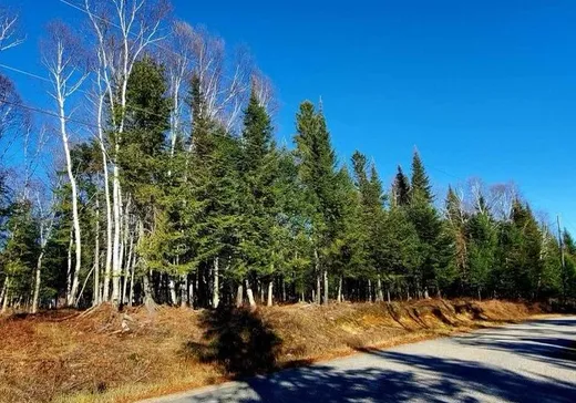 Terrain à vendre -  Ch. Marie-Louise, Lac-Saint-Paul, J0W 1K0