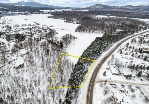 Terrain à vendre - Rue Robinson Rue Robinson, Waterloo, J0E2N0