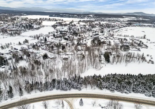 Terrain à vendre - Rue Robinson Rue Robinson, Waterloo, J0E 2N0