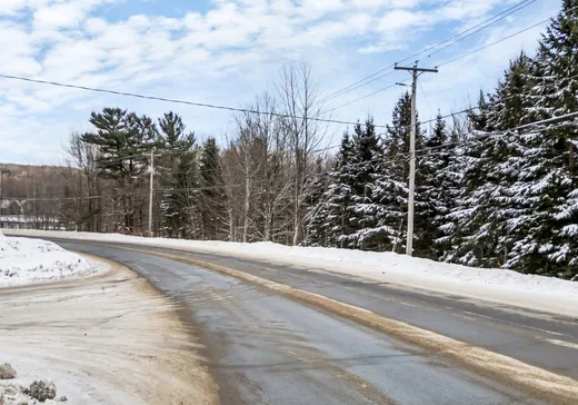 Terrain à vendre - Rue Robinson Rue Robinson, Waterloo, J0E 2N0