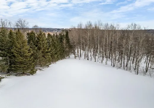 Terrain à vendre - Rue Robinson Rue Robinson, Waterloo, J0E 2N0