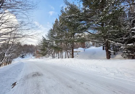 Land for sale -  Rue Diana, Sainte-Agathe-des-Monts, J8C0Z4