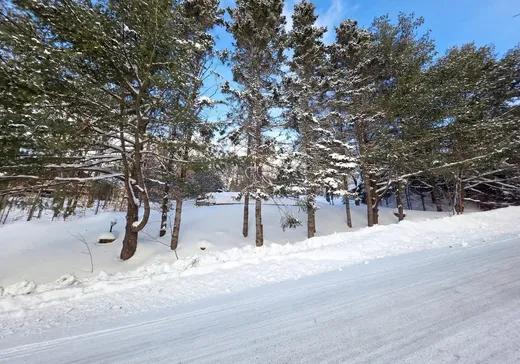Land for Sale -  Rue Diana, Sainte-Agathe-des-Monts, J8C 0Z4