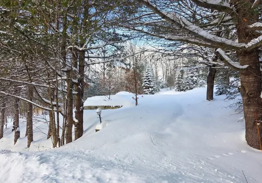 Land for Sale -  Rue Diana, Sainte-Agathe-des-Monts, J8C 0Z4