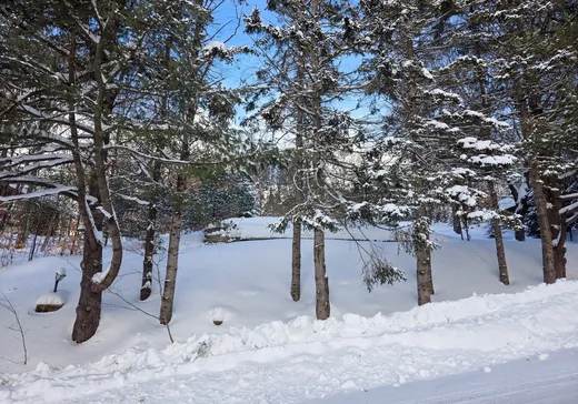 Land for Sale -  Rue Diana, Sainte-Agathe-des-Monts, J8C 0Z4